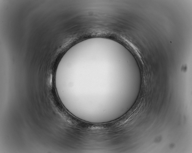 X0000101110067200806261119