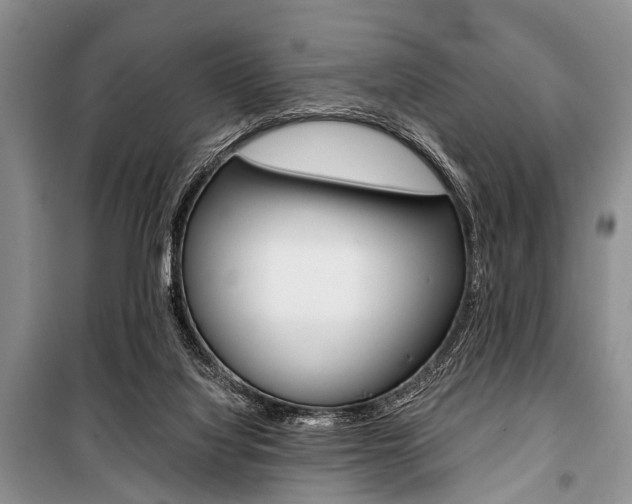X0000101110068200806261119