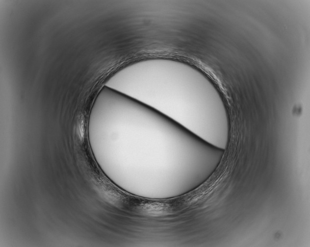 X0000101110069200806261119