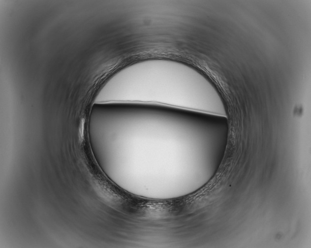 X0000101110070200806261119