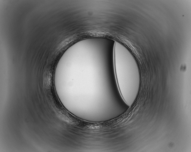X0000101110071200806261119
