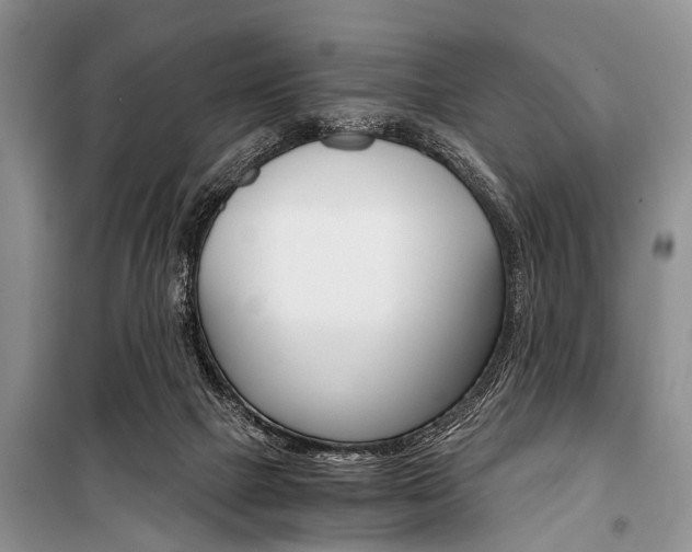 X0000101110073200806261119