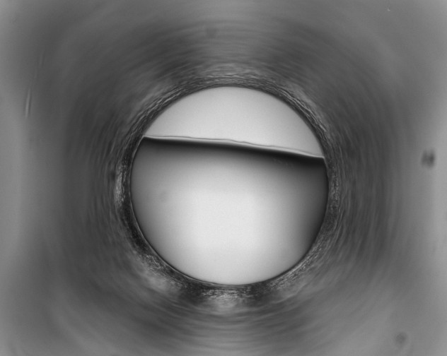 X0000101110074200806261119