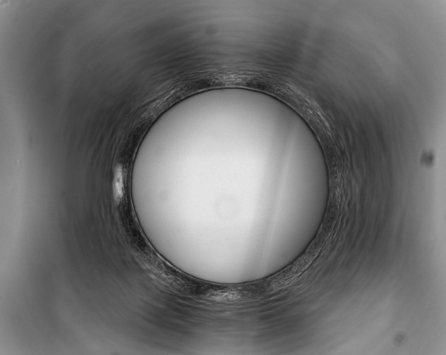 X0000101110075200806261119