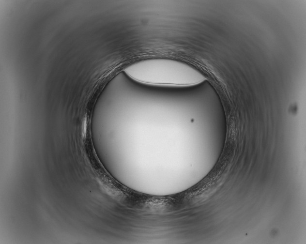 X0000101110076200806261119