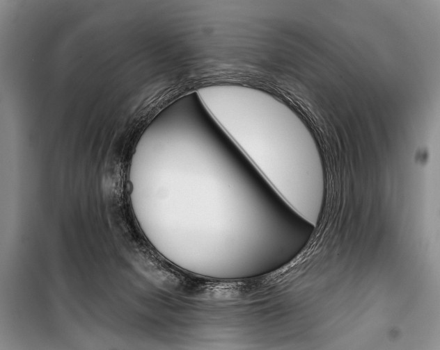 X0000101110078200806261119