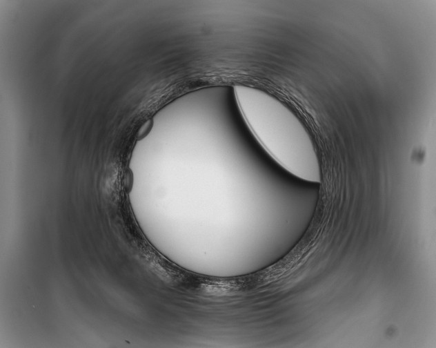 X0000101110079200806261119