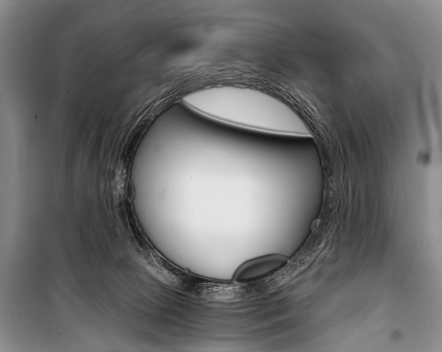 X0000101110081200806261119
