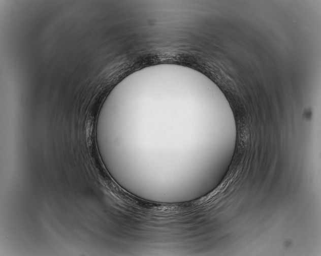 X0000101110082200806261119