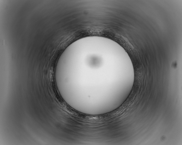 X0000101110083200806261119