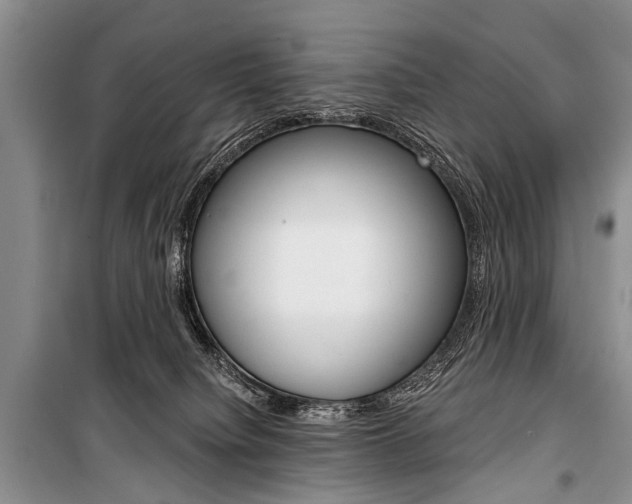 X0000101110084200806261119