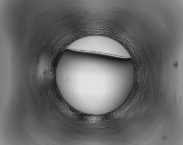 X0000101110085200806261119