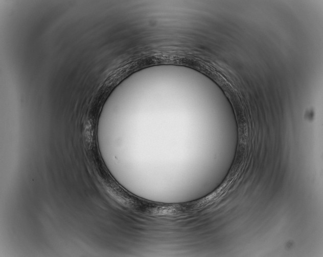 X0000101110086200806261119