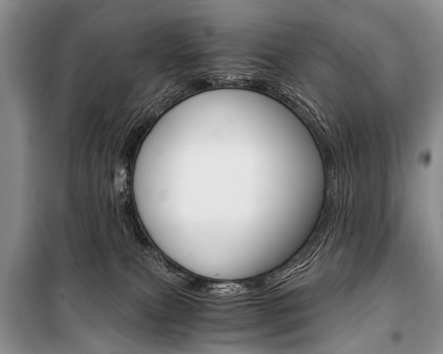 X0000101110087200806261119