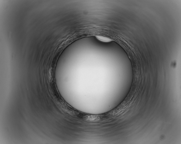 X0000101110088200806261119