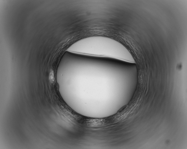 X0000101110089200806261119