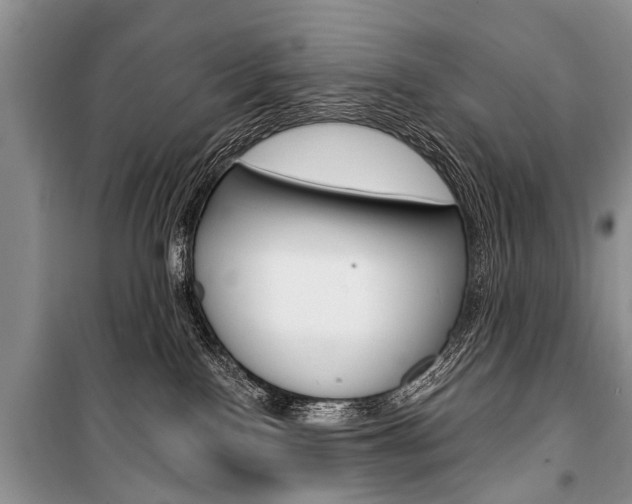 X0000101110090200806261119