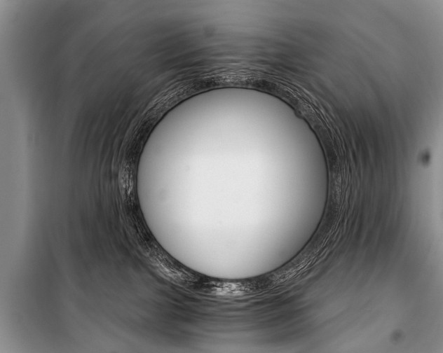 X0000101110091200806261119