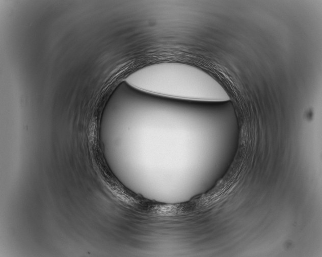 X0000101110092200806261119