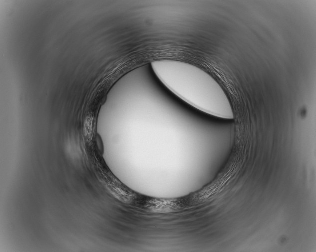 X0000101110093200806261119