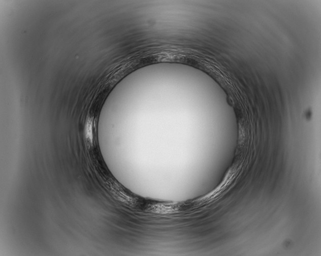 X0000101110094200806261119