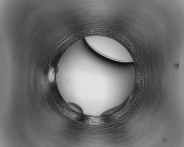 X0000101110095200806261119