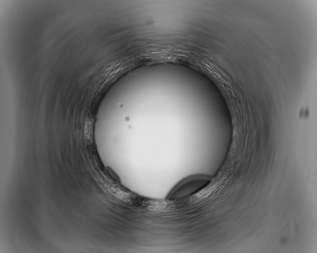 X0000101110096200806261119