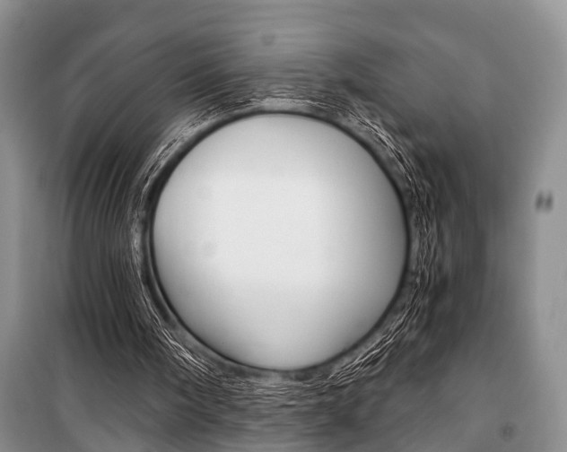 X0000101110098200806261119