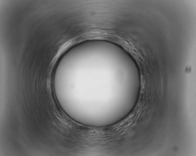 X0000101110099200806261119