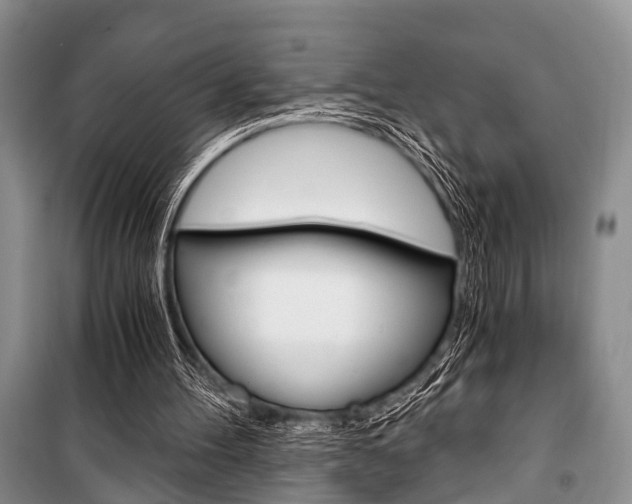 X0000101110100200806261118