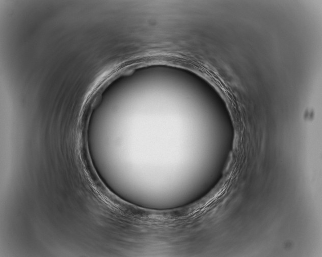 X0000101110101200806261118