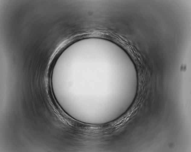 X0000101110102200806261118