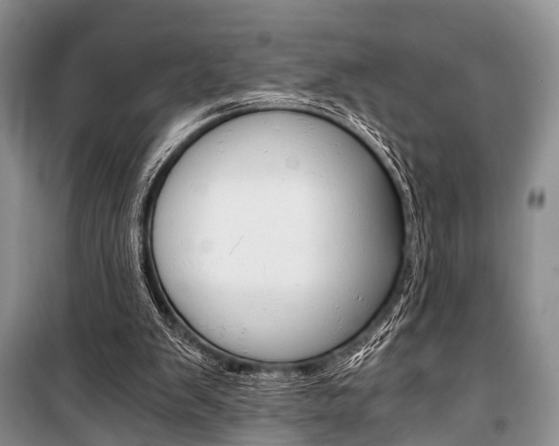 X0000101110103200806261118