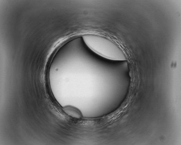 X0000101110104200806261118