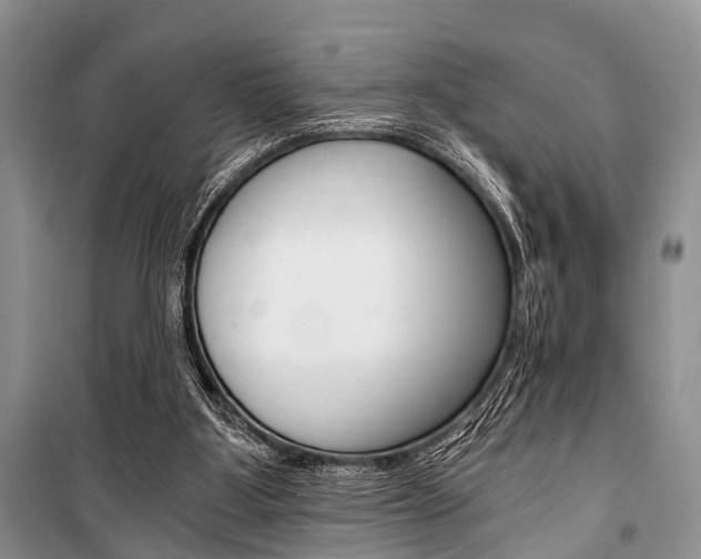 X0000101110107200806261118