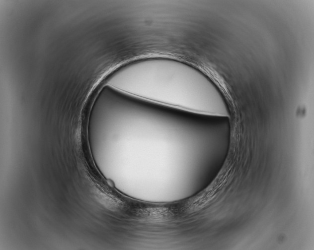 X0000101110108200806261118