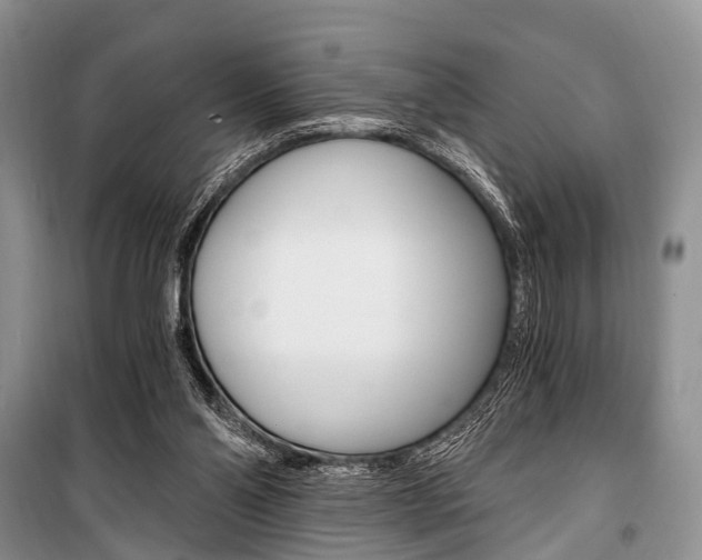 X0000101110110200806261118