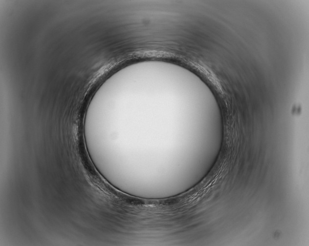 X0000101110111200806261118