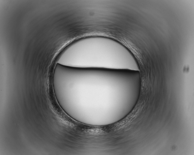 X0000101110112200806261118