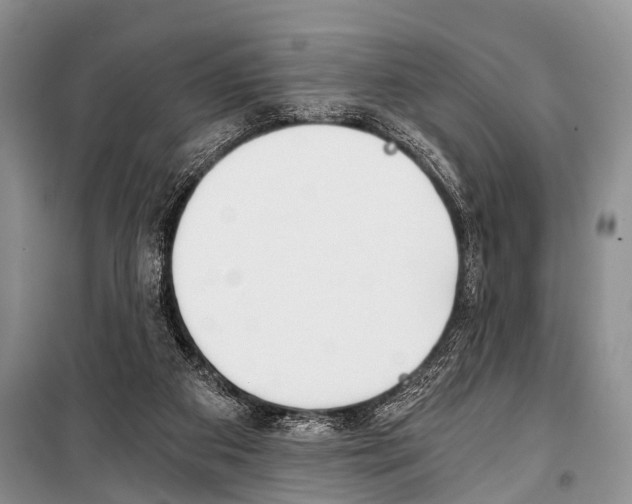 X0000101110113200806261118