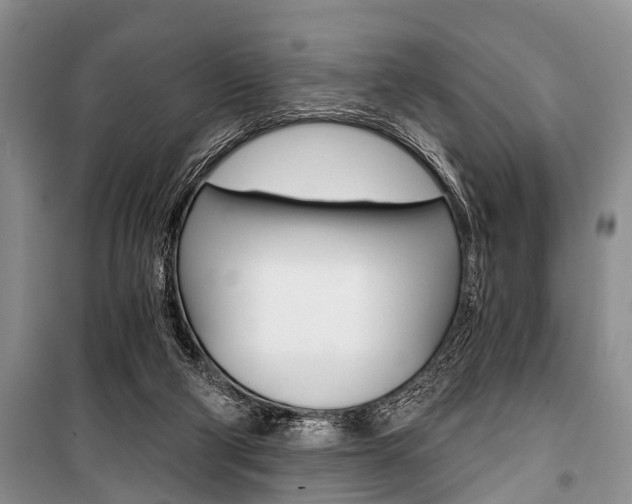 X0000101110114200806261118