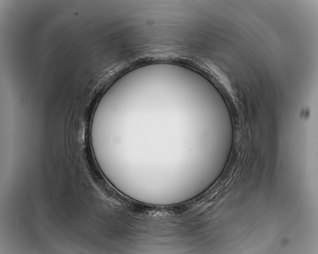 X0000101110115200806261118