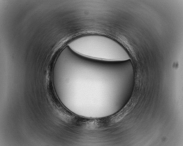 X0000101110116200806261118