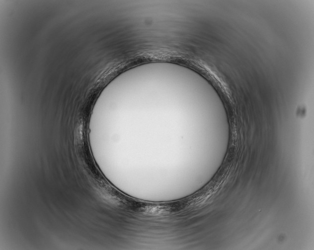 X0000101110117200806261118