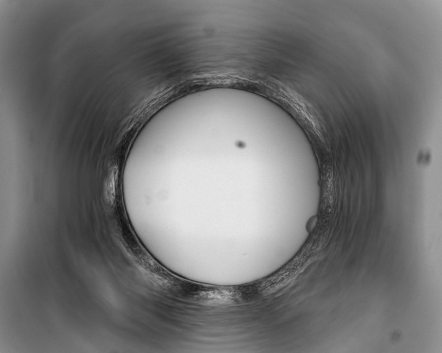 X0000101110118200806261118