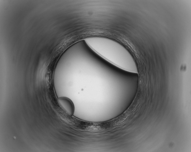 X0000101110119200806261118