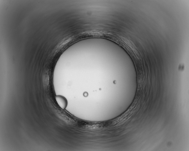 X0000101110120200806261118