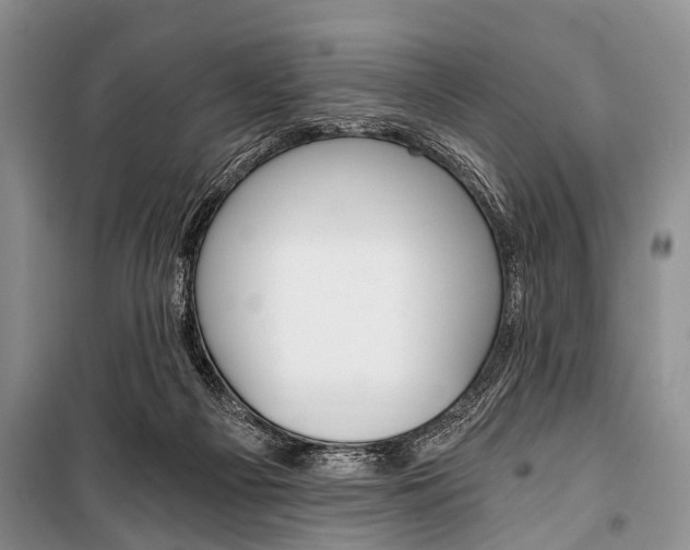 X0000101110121200806261118