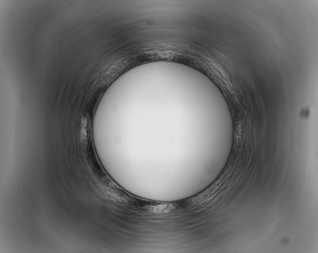 X0000101110122200806261118