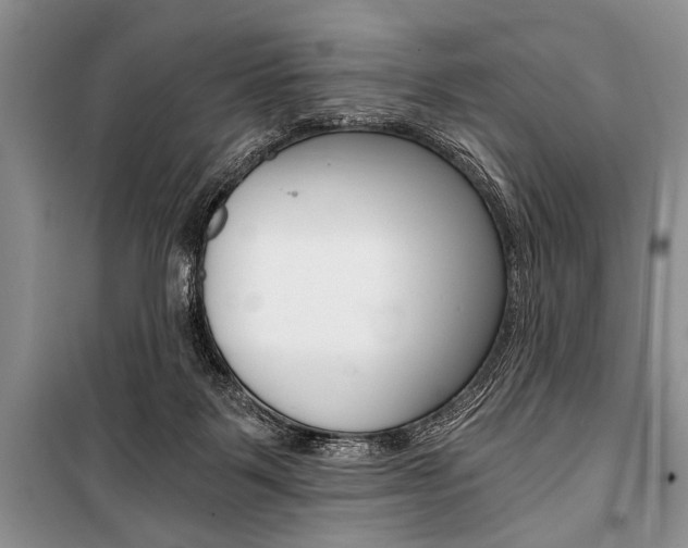 X0000101110123200806261118